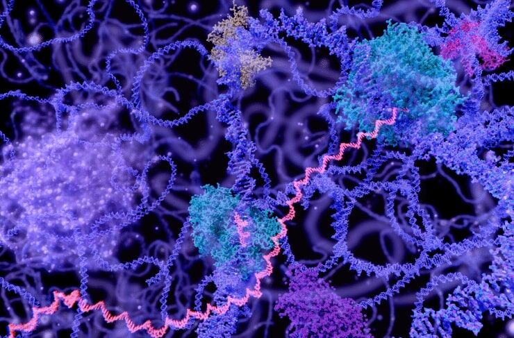 Transcription-Factor-Assays